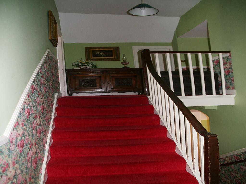 Muxnaw Lodge Kenmare Extérieur photo